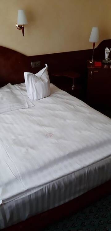 Фото Отель Hotel Carpati г. Бая-Маре 3