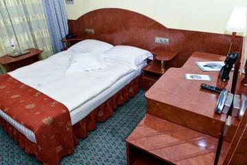 Фото номера Одноместный номер эконом-класса Отель Hotel Carpati г. Бая-Маре 3