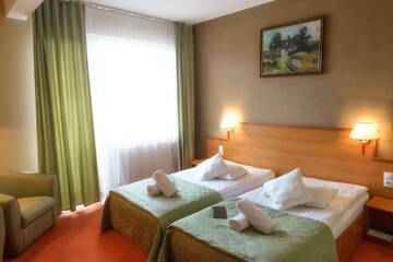 Фото номера Двухместный номер с 2 отдельными кроватями Отель Hotel Rivulus г. Бая-Маре 4