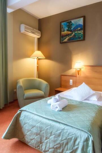 Фото номера Одноместный номер Отель Hotel Rivulus г. Бая-Маре 4