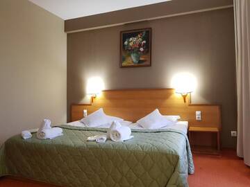 Фотографии Отель Hotel Rivulus г. Бая-Маре (Румыния) №2 Фото Отель Hotel Rivulus г. Бая-Маре 2