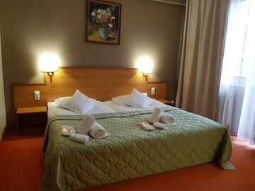 Фото номера Номер Делюкс Отель Hotel Rivulus г. Бая-Маре 5