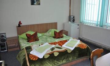Фото номера Стандартный двухместный номер с 1 кроватью Гостевой дом Pension Cremona г. Бая-Маре 4